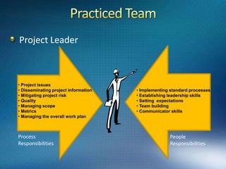 Project TeamTeam of five or six people is responsible for guiding the project and making sure that the needs of their respective constituencies are put forward and responded to appropriatelyHead of team – project leader