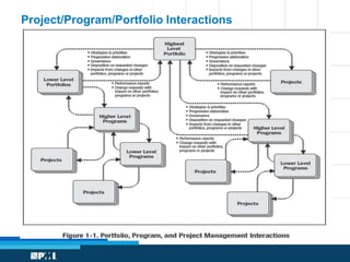 Project/Program/Portfolio Interactions 
 