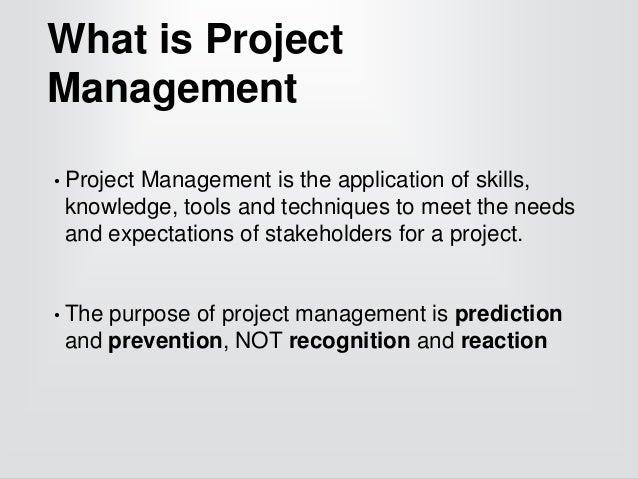 what is project management