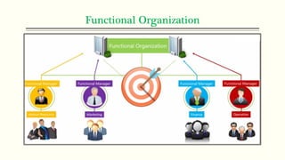 Functional Organization
 