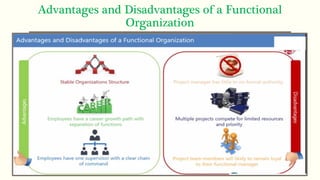 Advantages and Disadvantages of a Functional
Organization
 