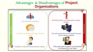 Advantages & Disadvantages of Project
Organizations
 