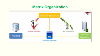 Matrix Organization
 