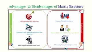 Advantages & Disadvantages of Matrix Structure
 