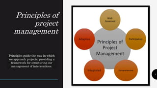 Project Principles Examples Project management.pptx
