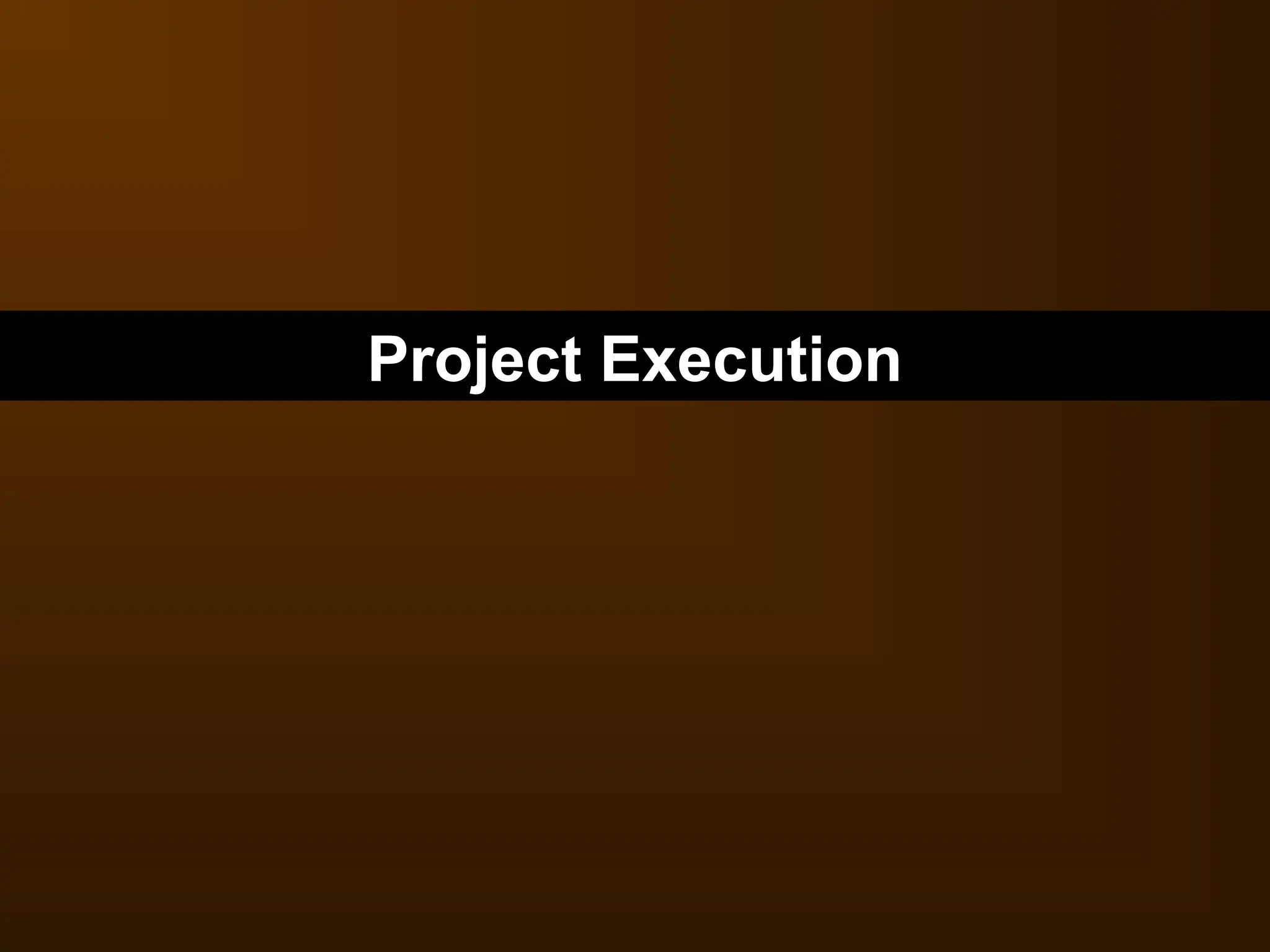 Project Execution
 