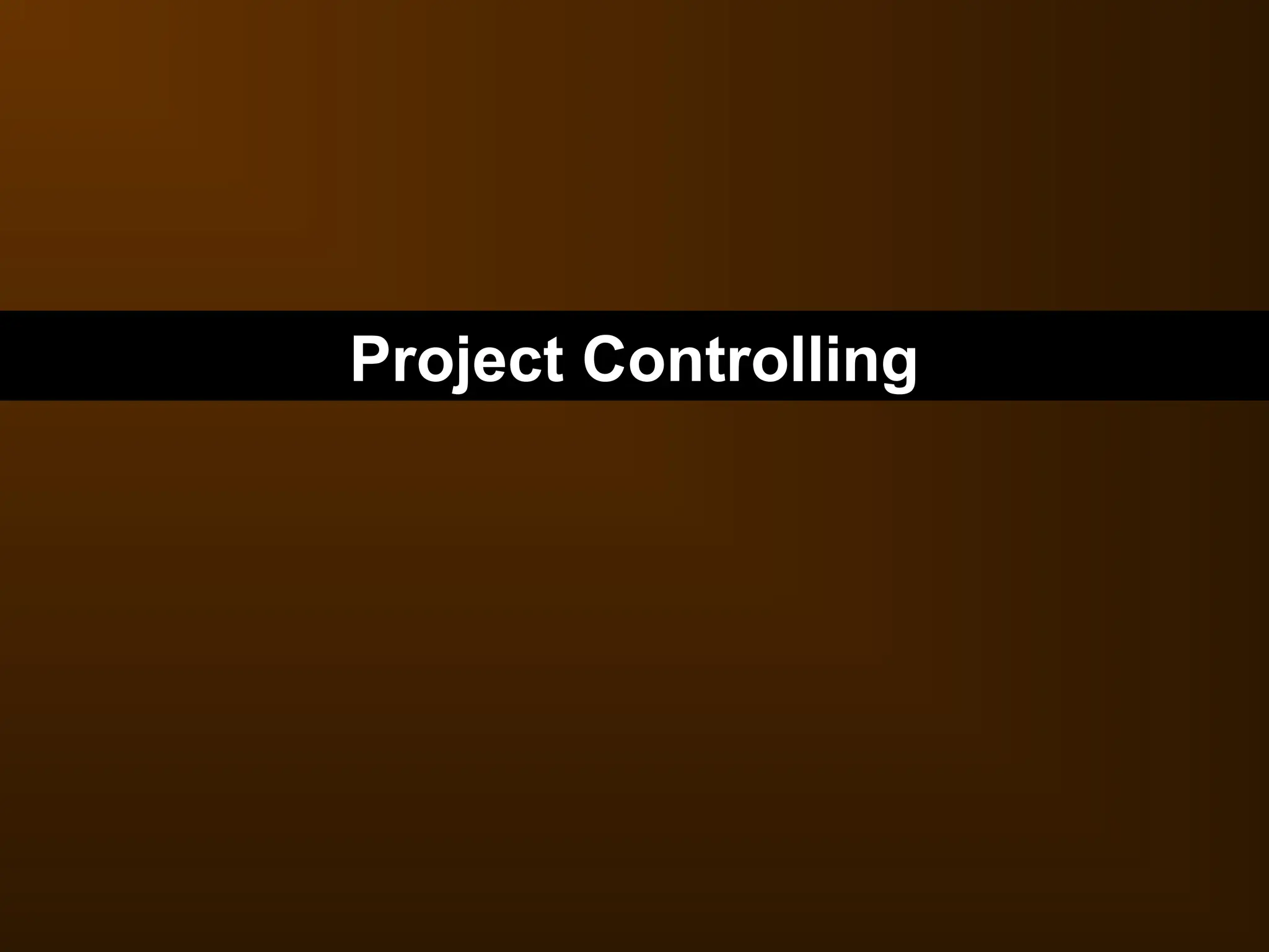 Project Controlling
 