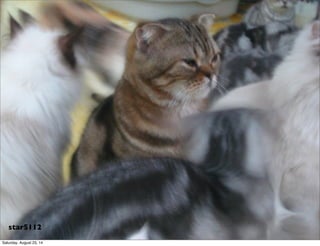 star5112
Saturday, August 23, 14
 