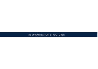 3.0 ORGANIZATION STRUCTURES
 