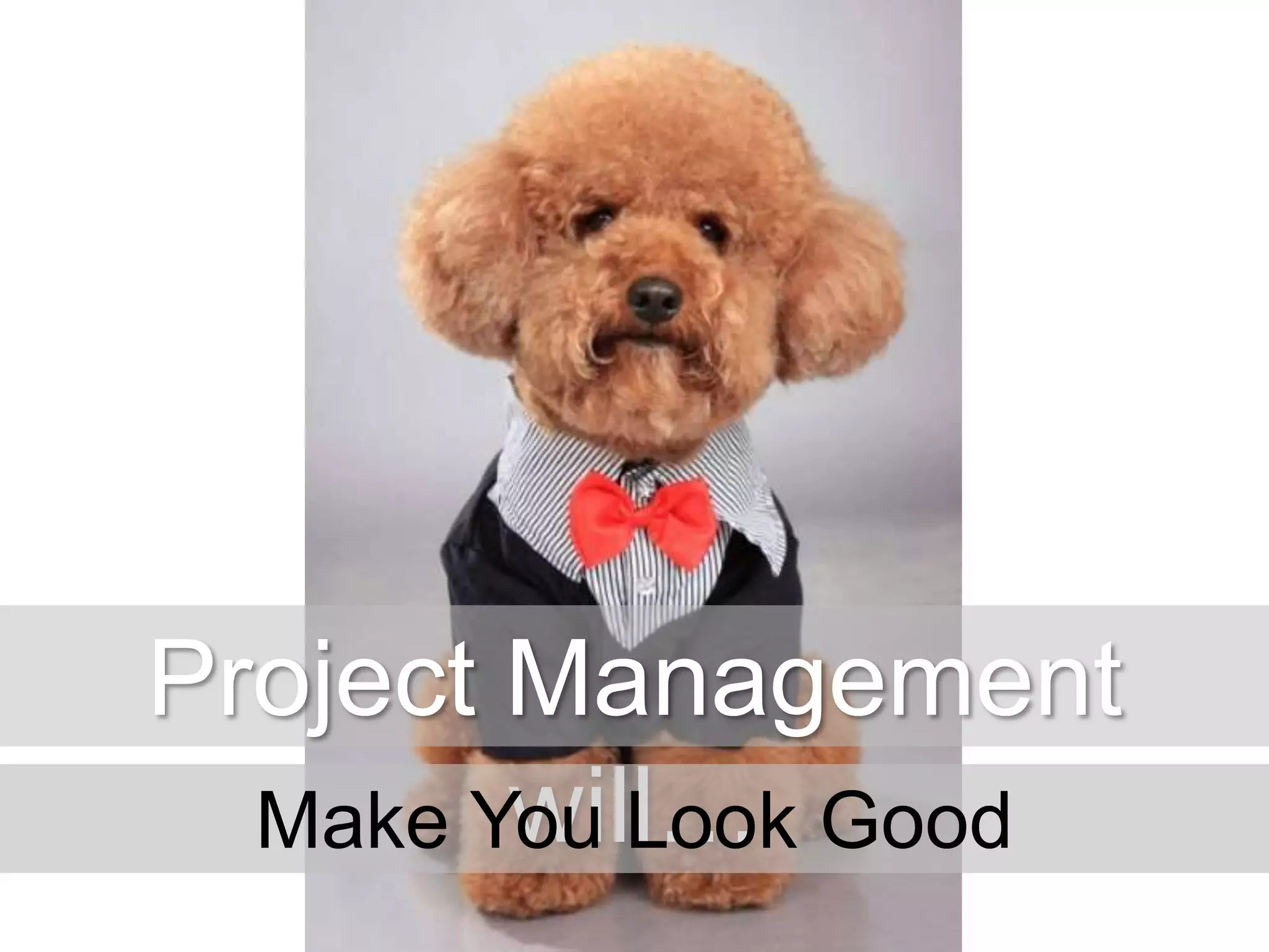 Project Management
will…
Make You Look Good

 