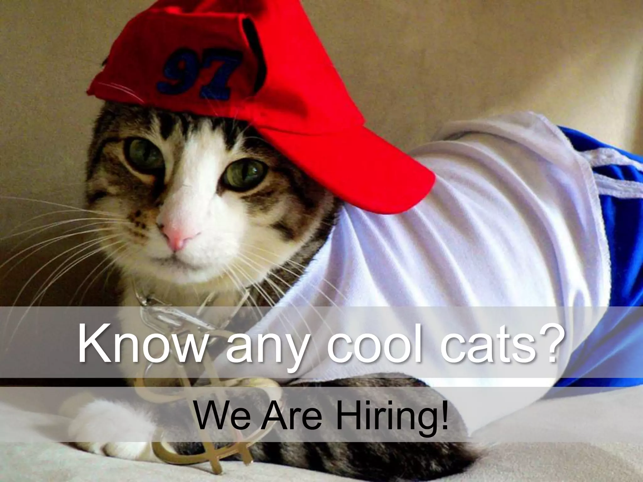 Know any cool cats?
We Are Hiring!

 