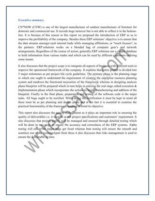 Project management case analysis | PDF