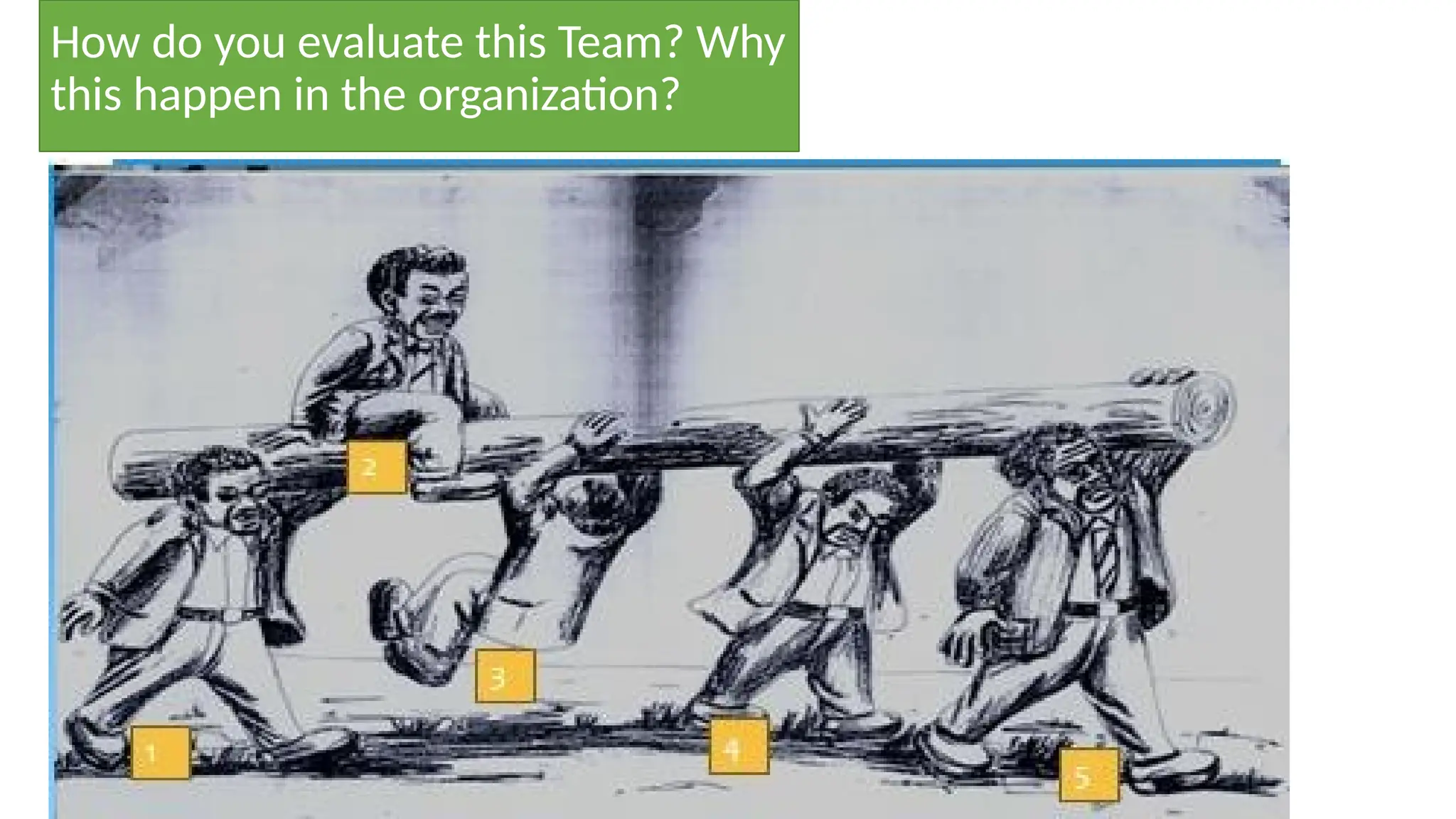 How do you evaluate this Team? Why
this happen in the organization?
 