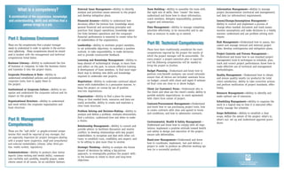 Project management competencies | PDF