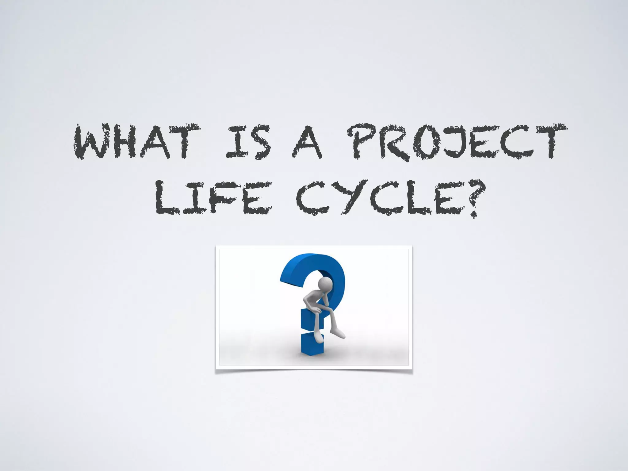 WHAT IS A PROJECT
LIFE CYCLE?
 