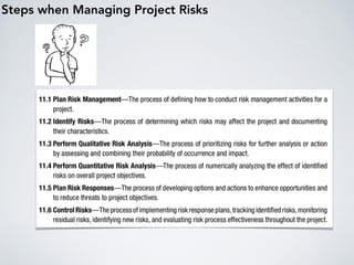 Steps when Managing Project Risks
 
