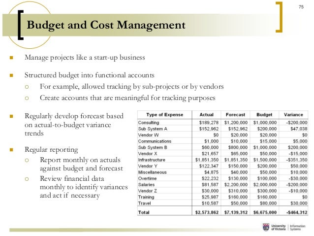 project management budget example