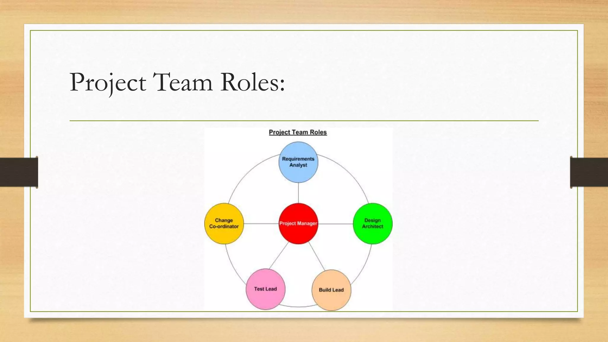 Project Team Roles:
 