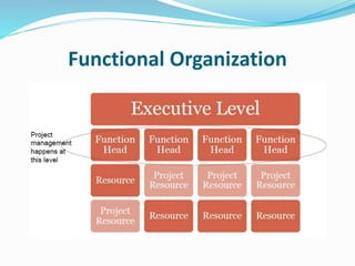 Functional Organization
 