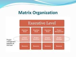Matrix Organization
 