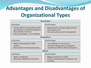 Advantages and Disadvantages of
Organizational Types
 