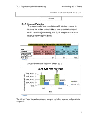 Project Management in Marketing Final Report | PDF