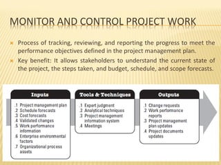 Pmo Project Controls Comprehensive Project Management: PMO, Life Cycle, and Integration | PDF
