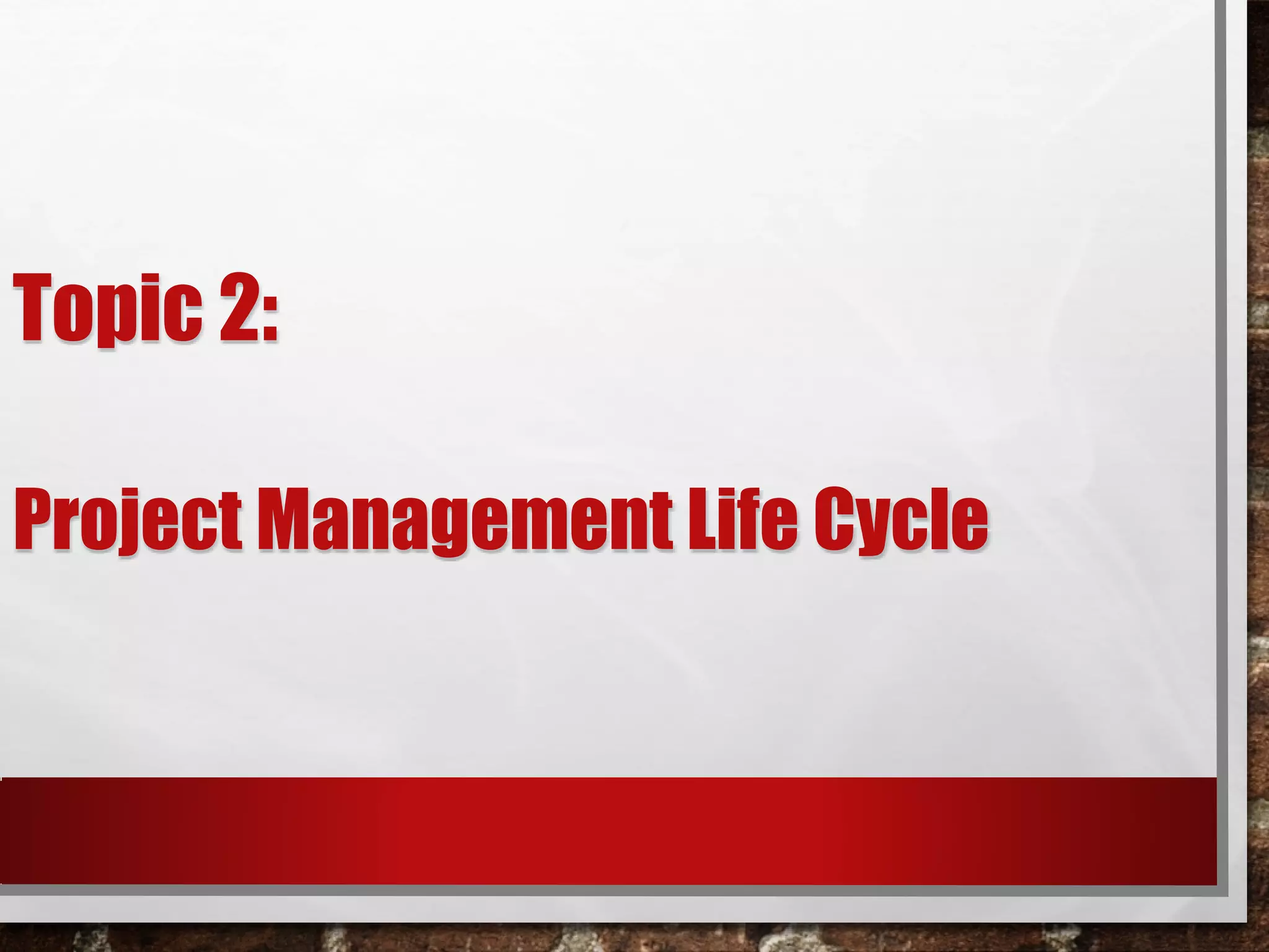 Project Management Life Cycle | PDF