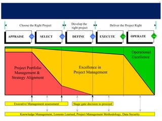 Project management methodology pmo example (short sanitised)