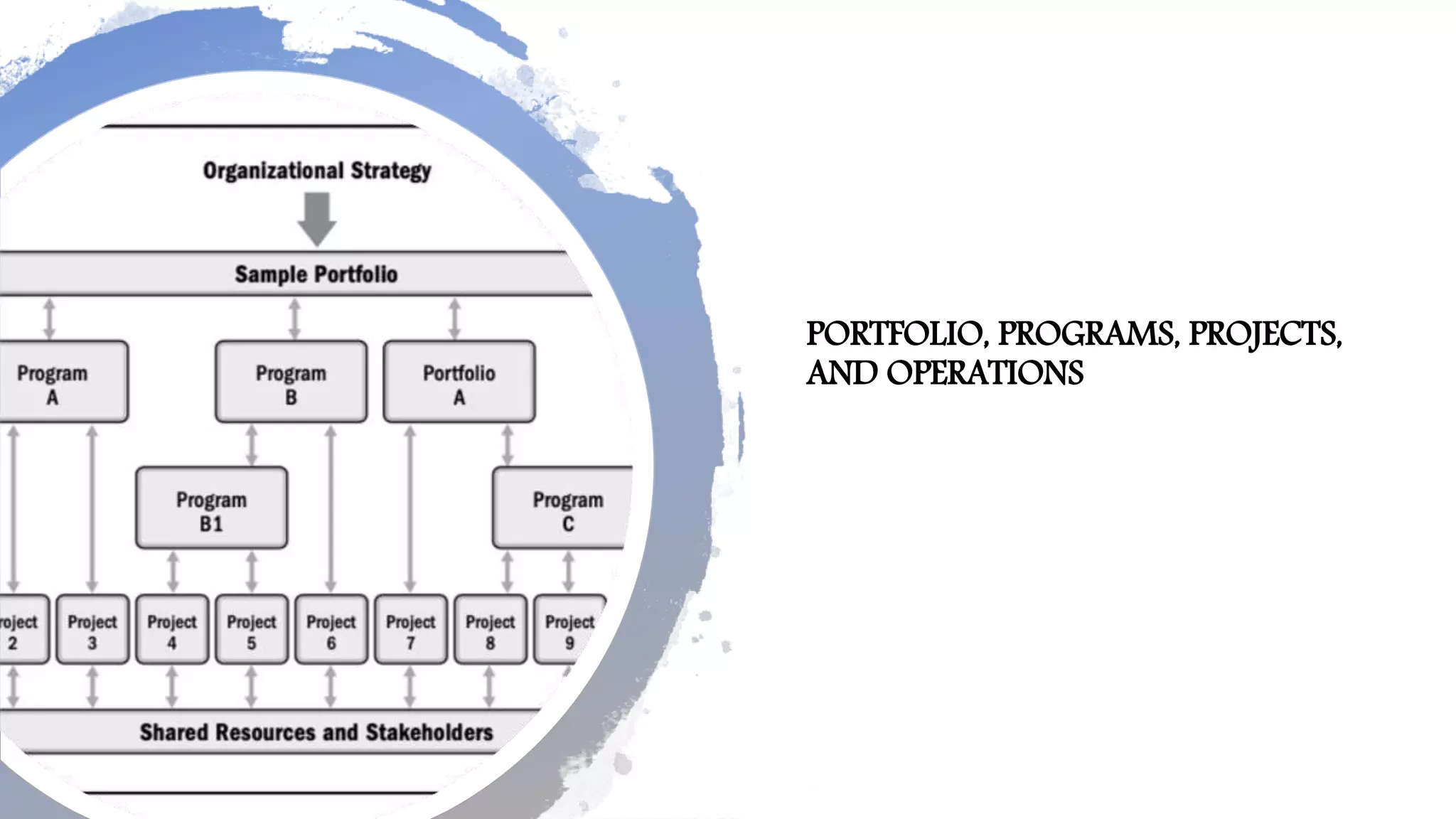 PORTFOLIO, PROGRAMS, PROJECTS,
AND OPERATIONS
 