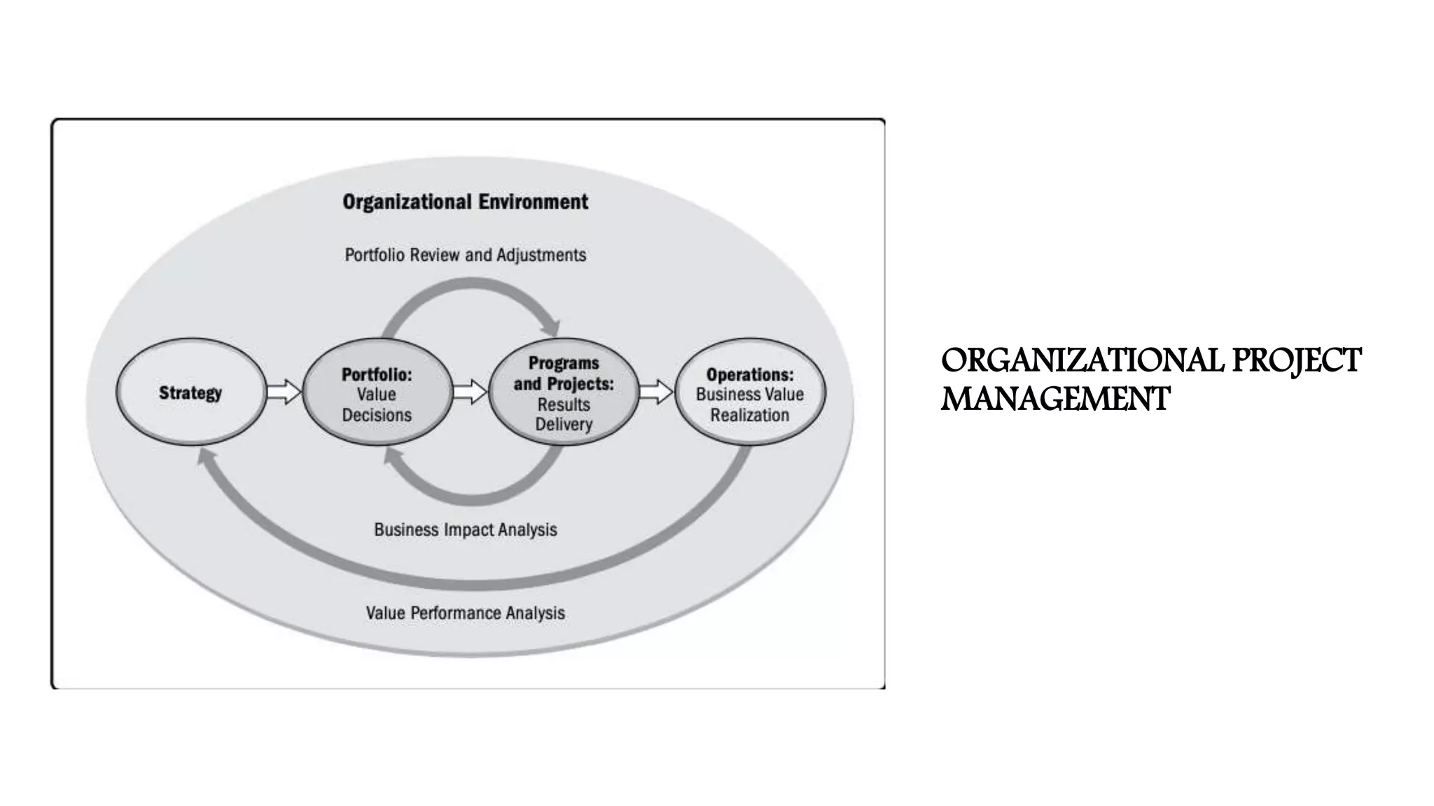 ORGANIZATIONAL PROJECT
MANAGEMENT
 