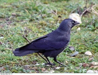 Monday, March 30, 15
 