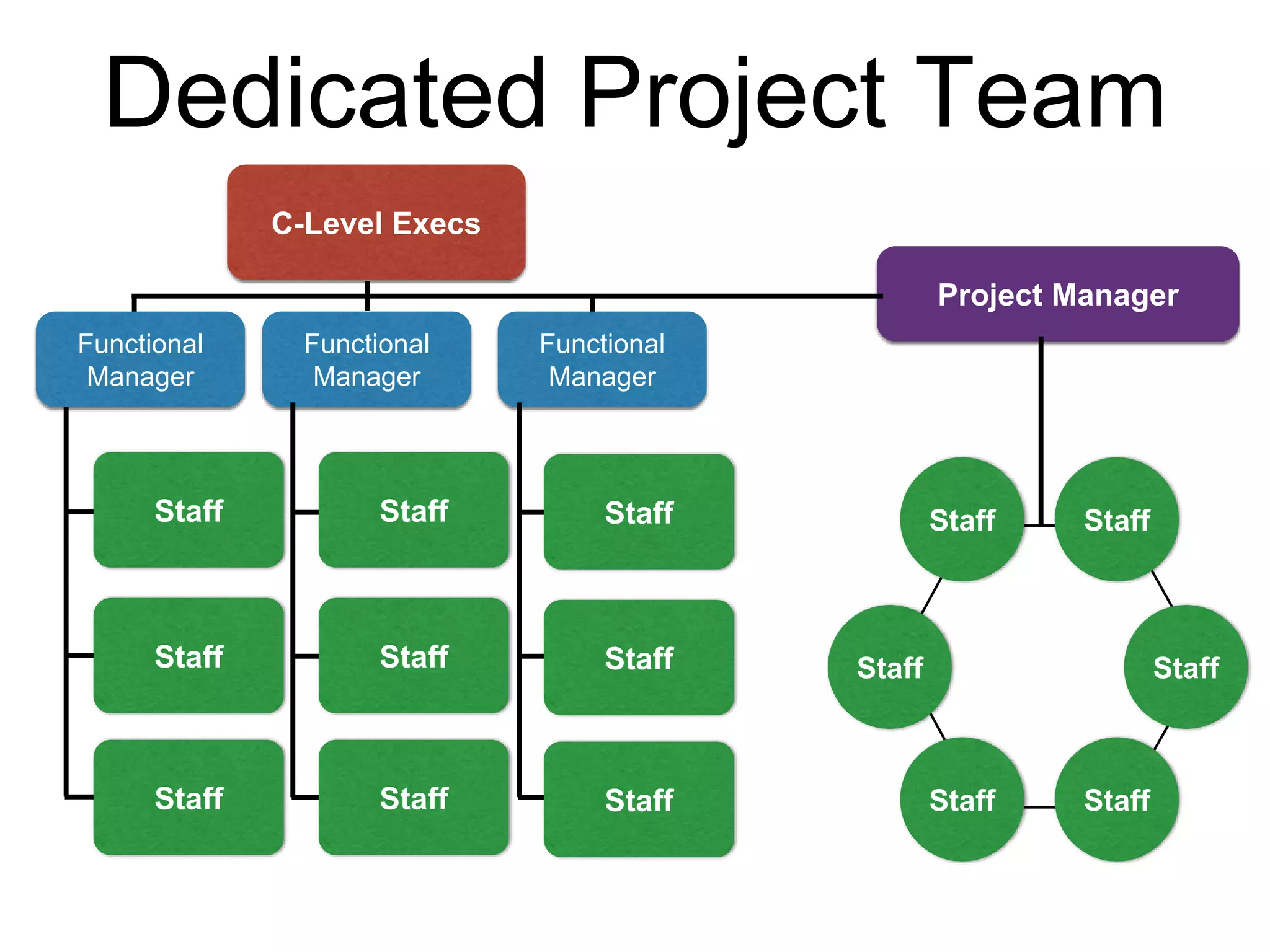 Dedicated Project Team
Project Manager
Staff
Staff Staff
Staff
Staff Staff
Functional
Manager
C-Level Execs
Staff
Functional
Manager
Functional
Manager
Staff
Staff
Staff
Staff
Staff
Staff
Staff
Staff
 