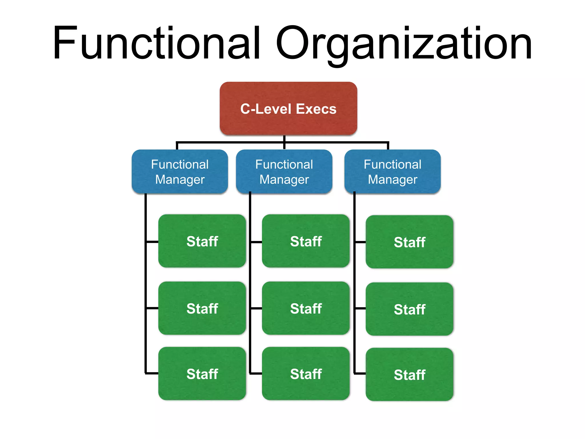 Functional Organization
Functional
Manager
C-Level Execs
Staff
Functional
Manager
Functional
Manager
Staff
Staff
Staff
Staff
Staff
Staff
Staff
Staff
 