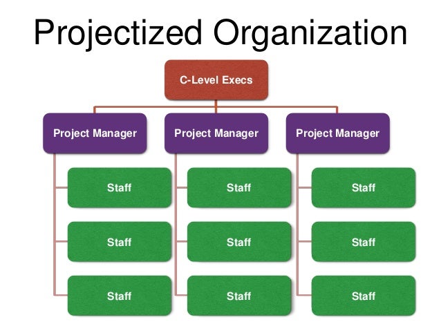 Project Management Organizational Chart