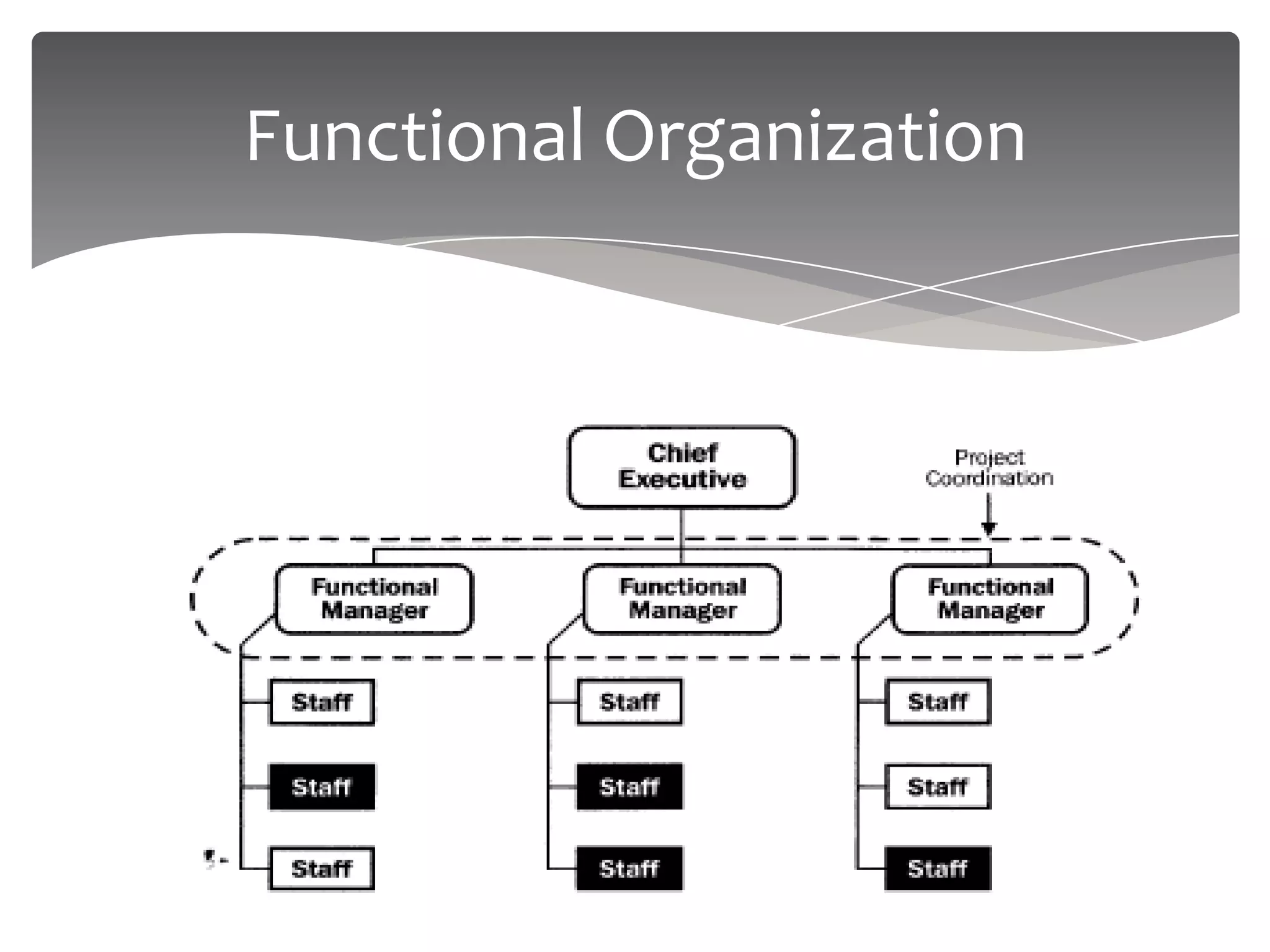 Functional Organization
 