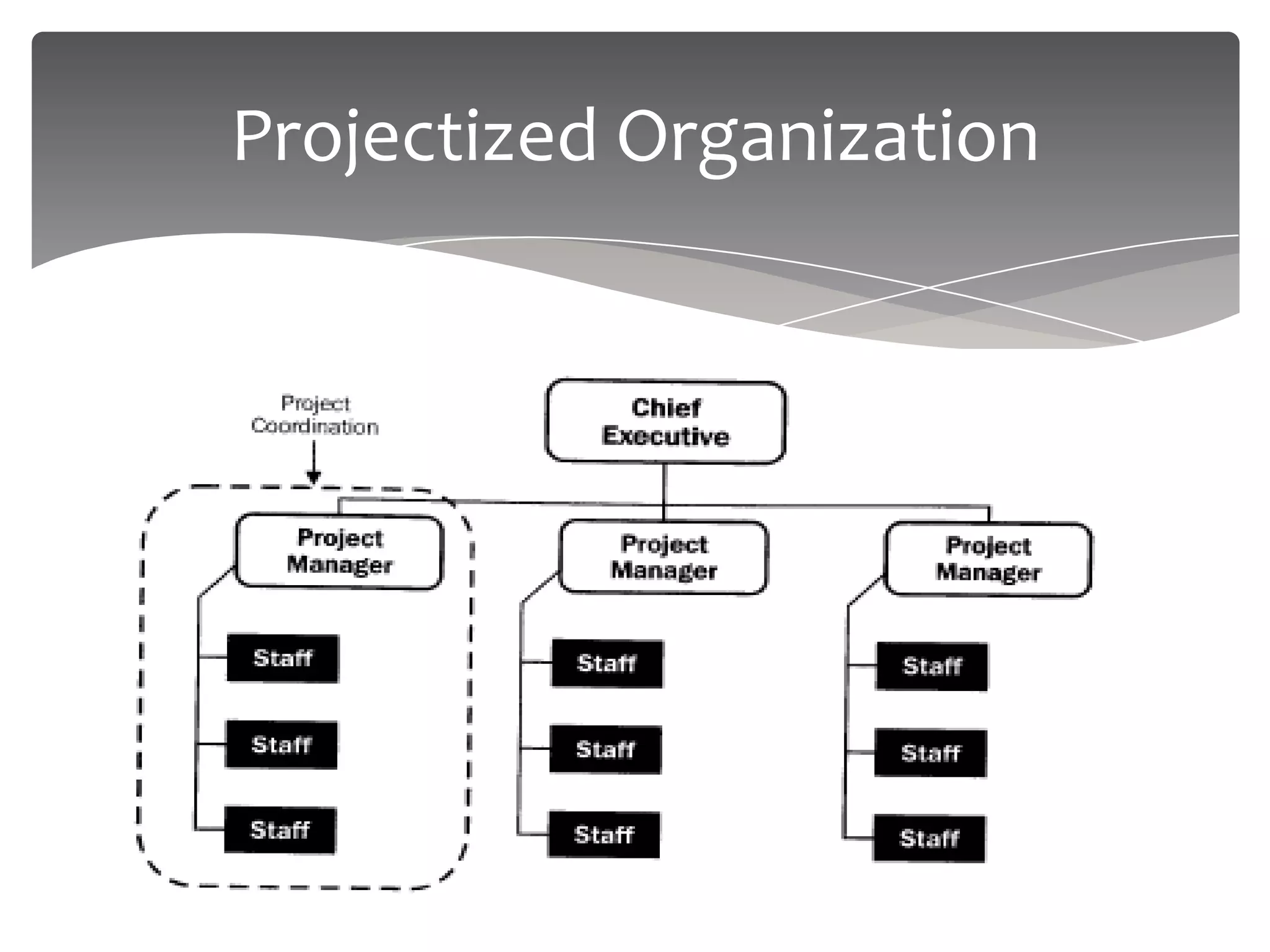 Projectized Organization
 