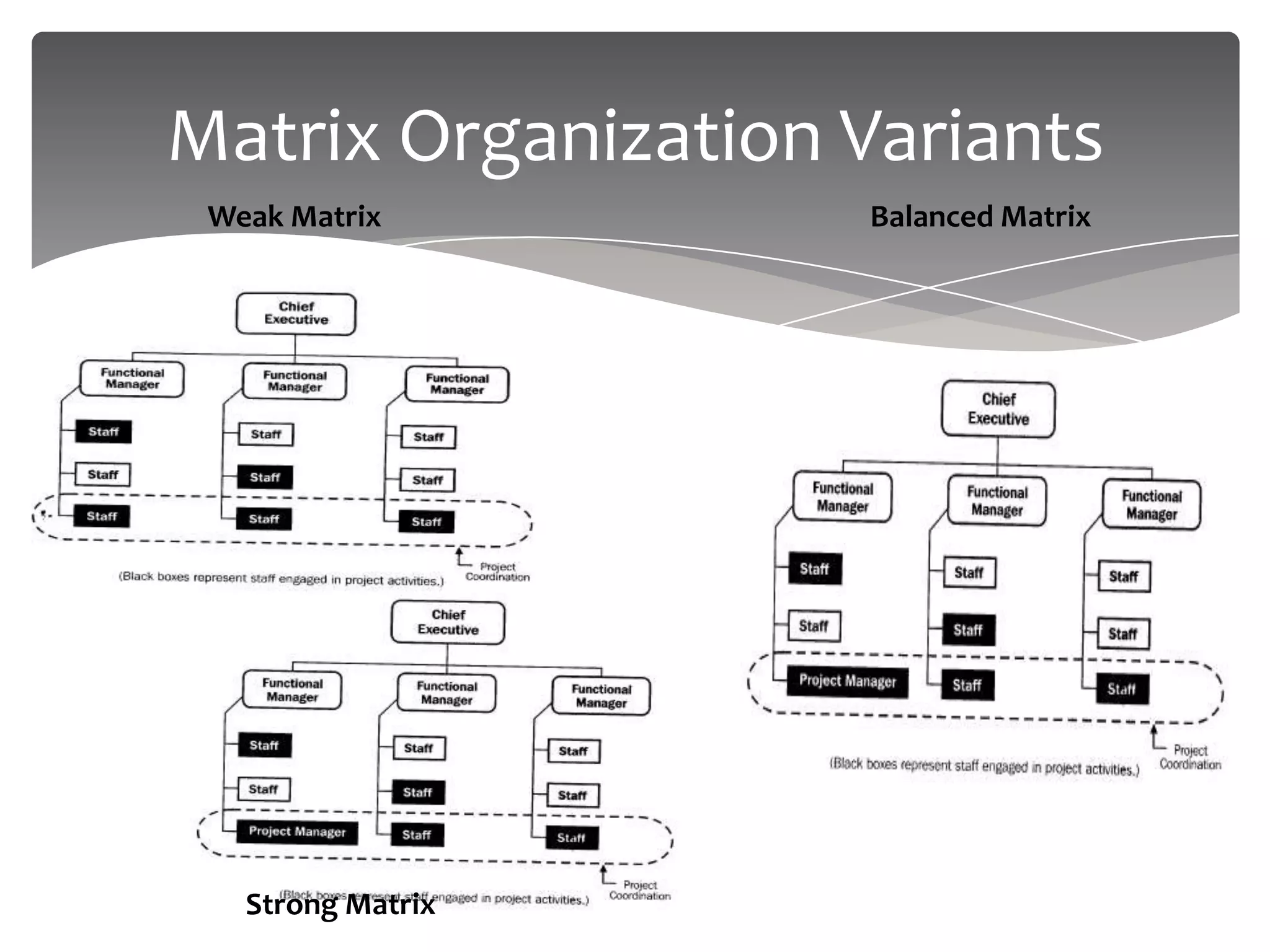 Matrix Organization Variants
 Weak Matrix         Balanced Matrix




   Strong Matrix
 