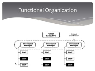 Functional Project Manager Project Management Overview | PPTX