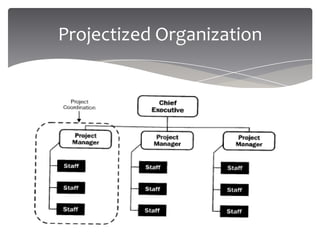 Project Management Structure Projectized Project Management Overview | PPTX