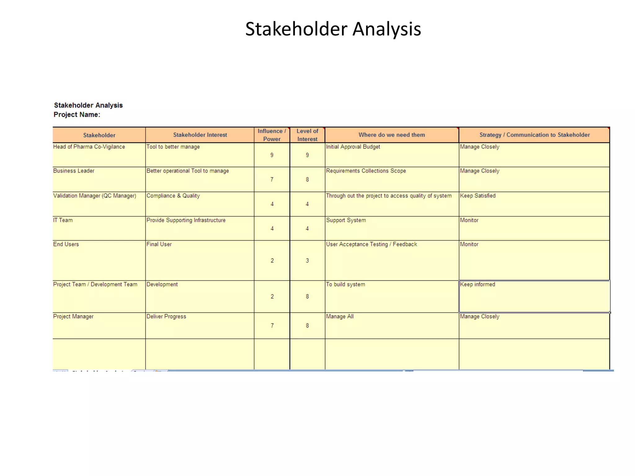 Stakeholder Analysis
 