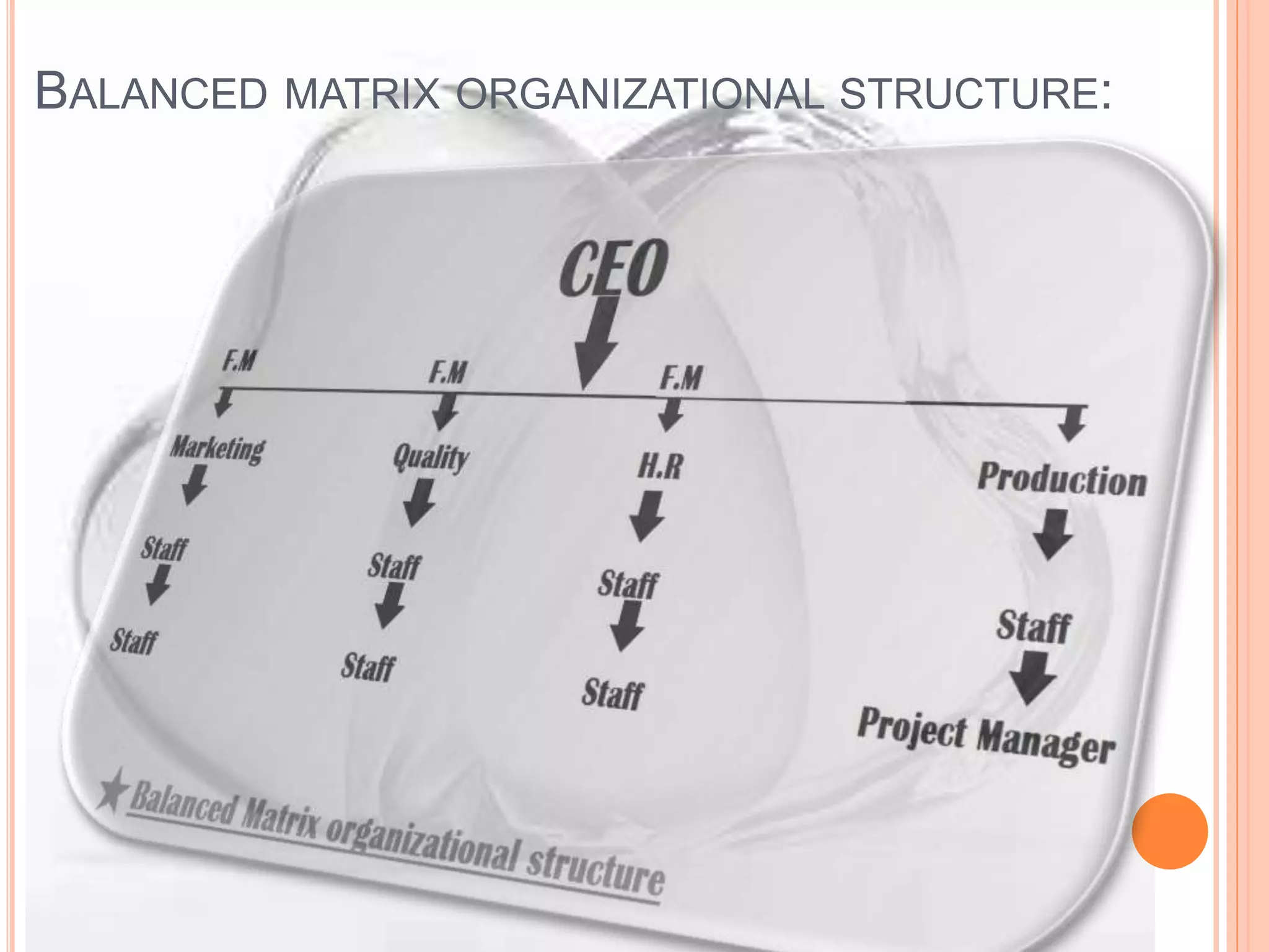 BALANCED MATRIX ORGANIZATIONAL STRUCTURE:
 