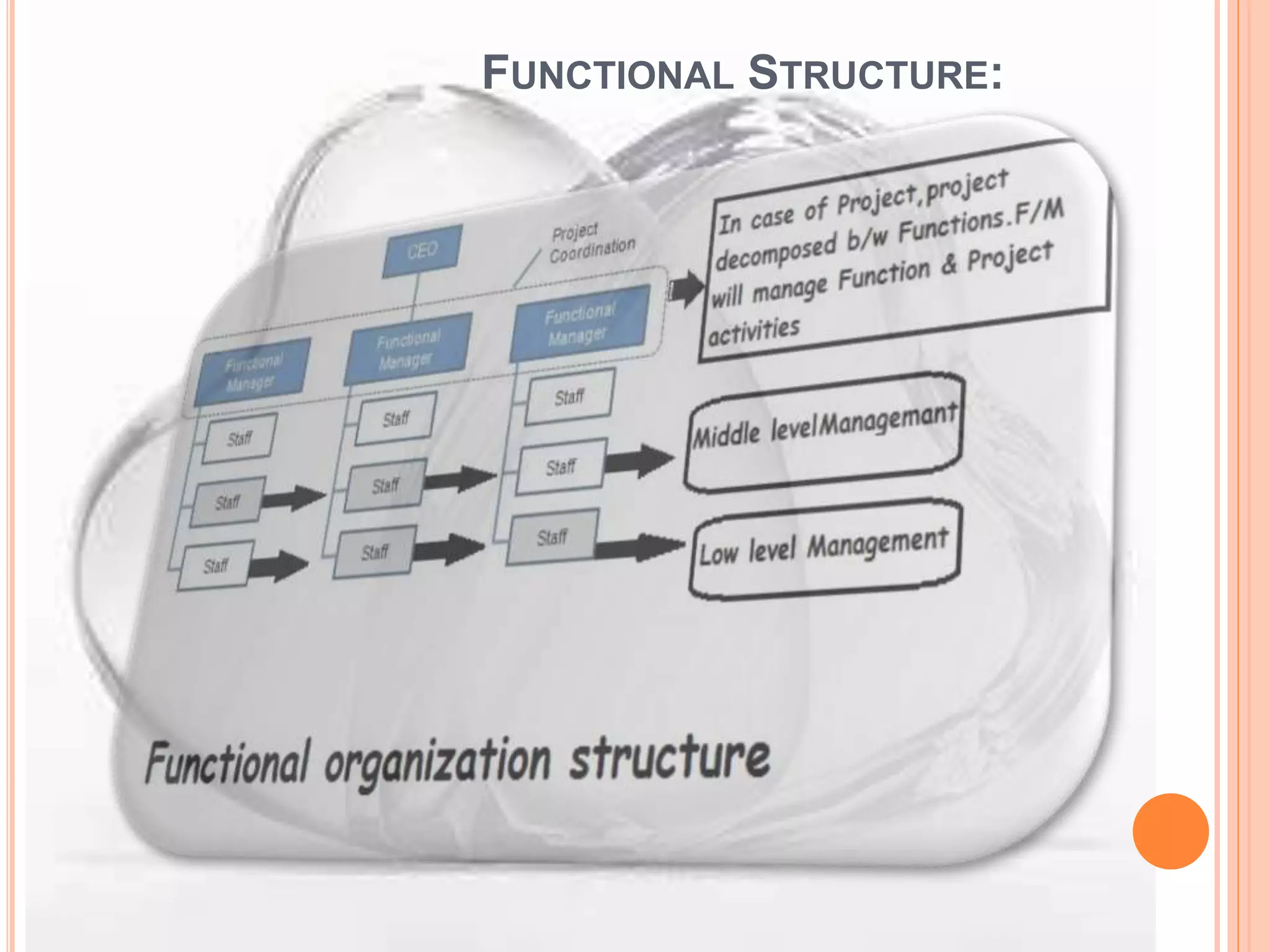 FUNCTIONAL STRUCTURE:
 