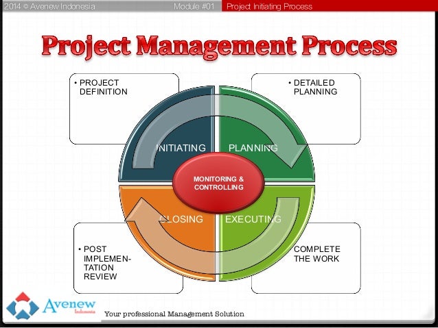 project management process