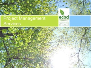 Project Management Services 