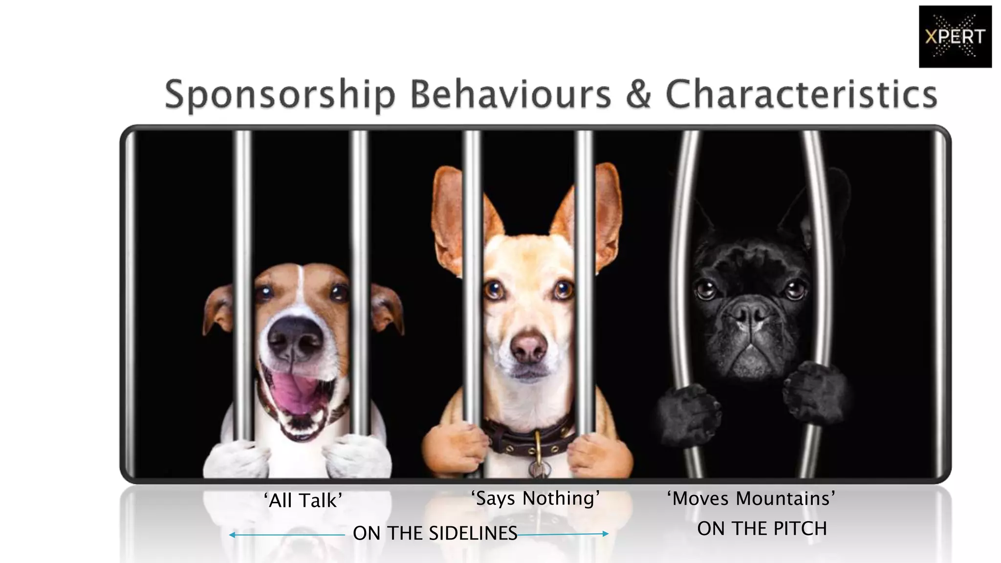 ‘Says Nothing’‘All Talk’ ‘Moves Mountains’
ON THE SIDELINES ON THE PITCH
 