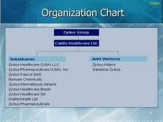 Organization Chart Index 