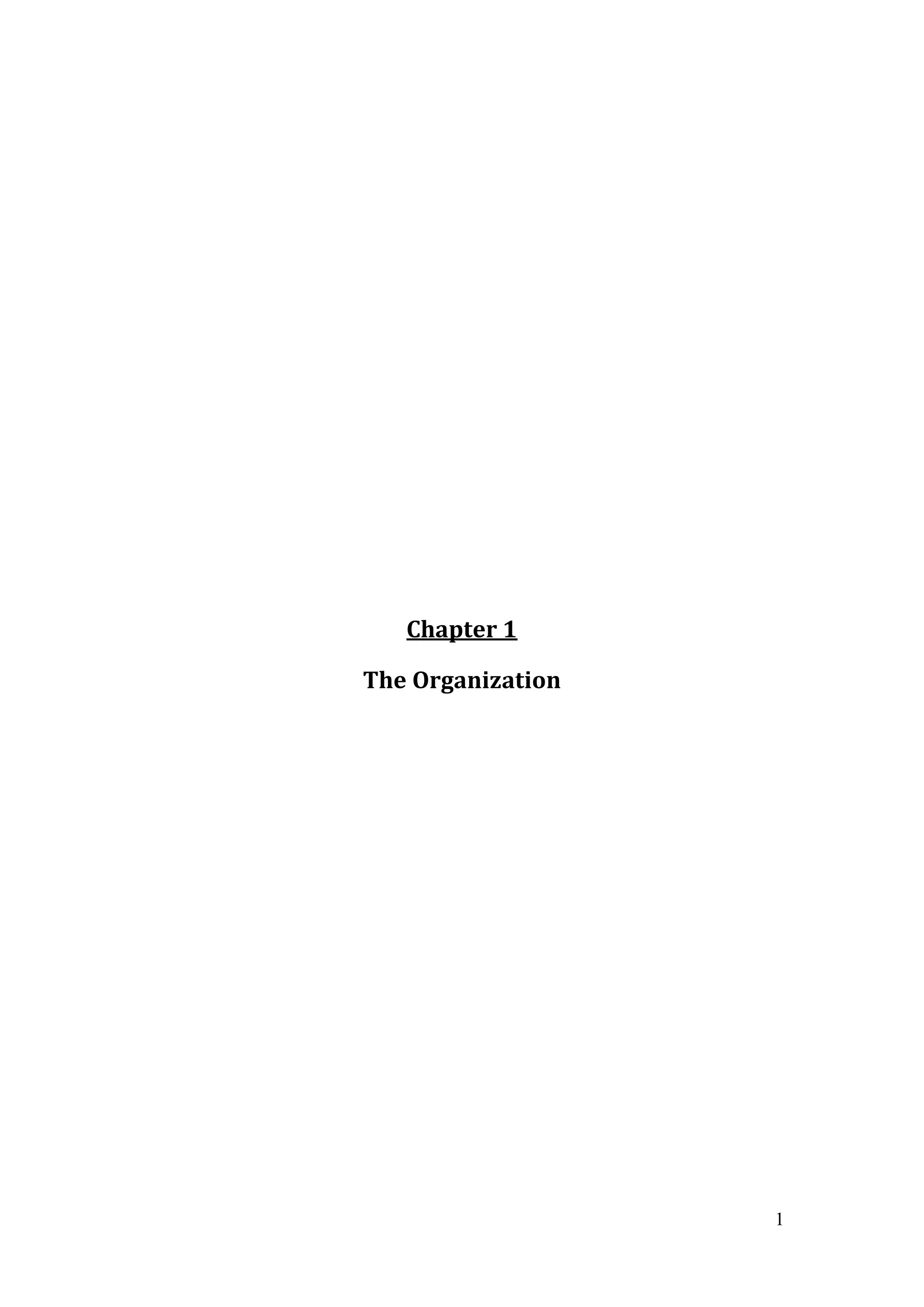 1
Chapter 1
The Organization
 