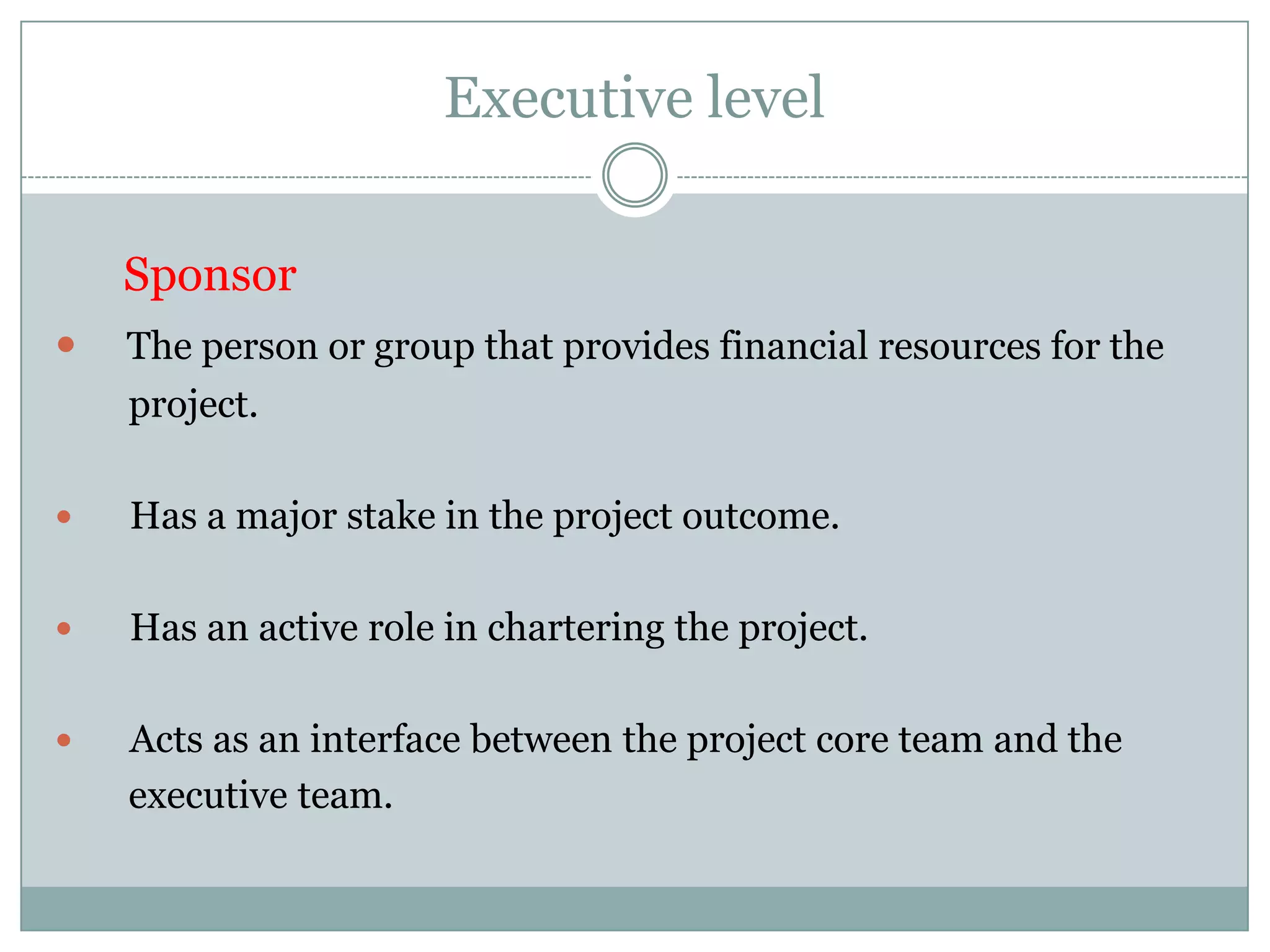 Executive levelExecutive levelChief projects officerSponsorSteering team
