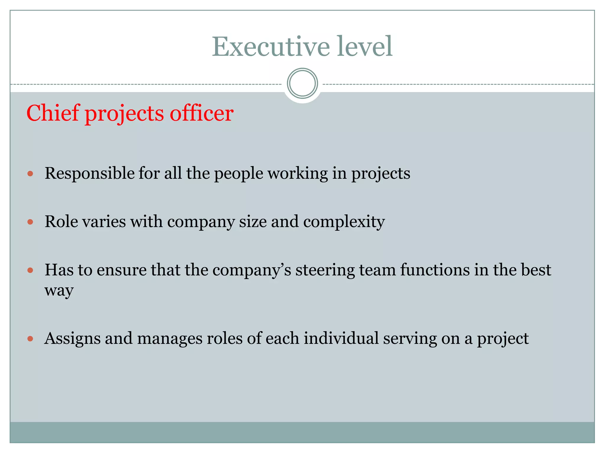 Executive level                                     Steering Team Collectively represent all of the major functions of the organization. Major functions: